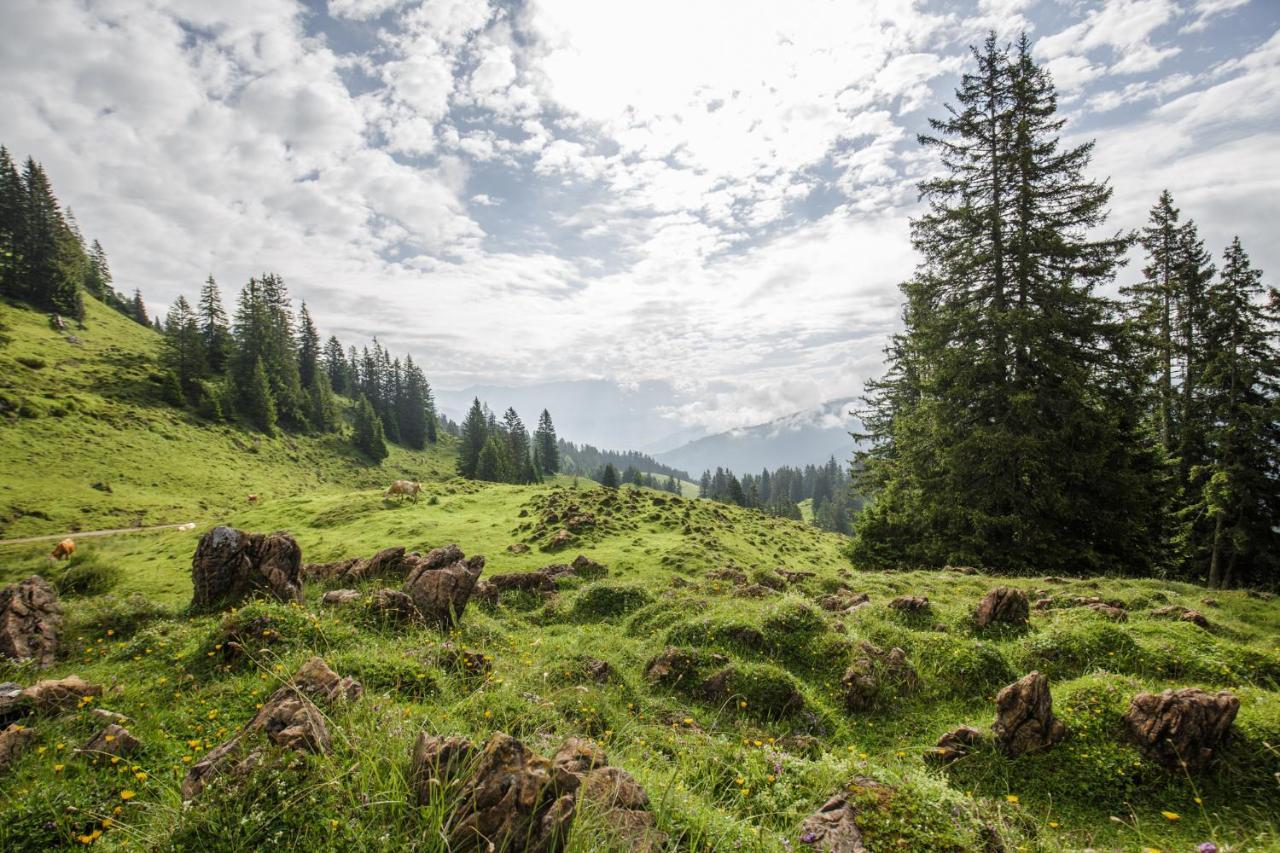Untergrundgut Villa Leogang Dış mekan fotoğraf